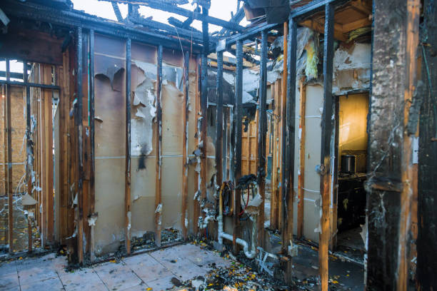 Professional Fire Damage Removal technician working in Dawson, GA